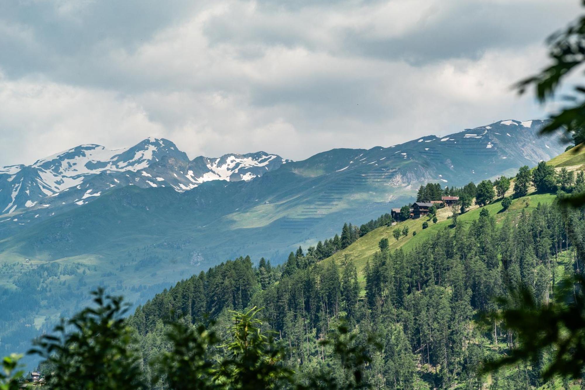 Wuidererhuettn, Charlet In Alleinlage Mit Freistehendem Saunahaus Großkirchheim Exteriér fotografie