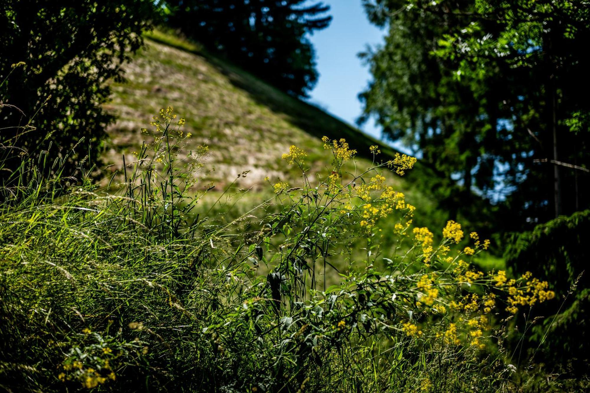 Wuidererhuettn, Charlet In Alleinlage Mit Freistehendem Saunahaus Großkirchheim Exteriér fotografie